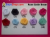 Rose Satin Besar 1-10 medium.jpg
